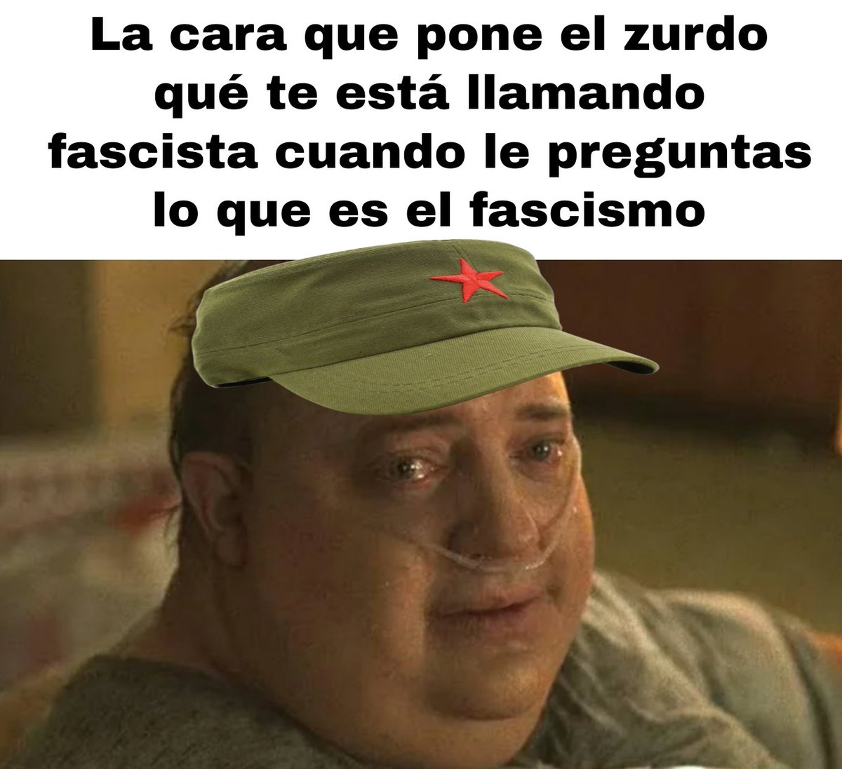 NoVive_Socialis's tweet photo. Los zurdos ni saben lo que significa el fascismo https://t.co/zw6j0xmtLC