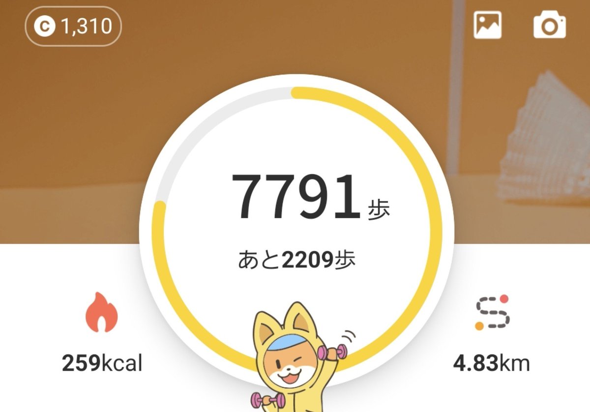 minakopoipoi's tweet photo. お盆明けの一週間を乗り越えつつある
#cashwalk #ポイ活 https://t.co/SPhf8pjDsq