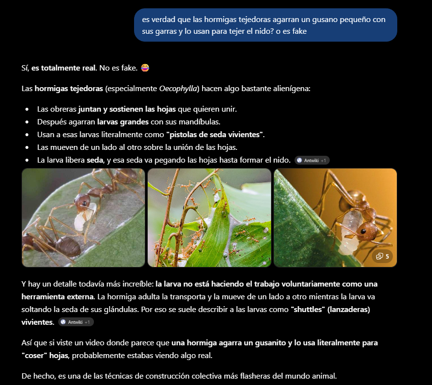 nuncafuesuert3's tweet photo. @_lakaiser @Muzzarella5 pense que era ia yo tambien, pero es full real!!! despues queremos saber si existen los aliens o no... https://t.co/VCH7fnSCvf