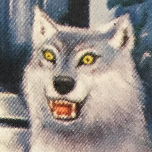 Goatllama's tweet photo. @alliharvard wolf tf https://t.co/QD3Y7bk820
