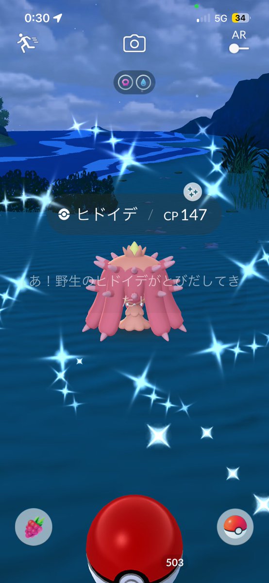 Liapachi_Go's tweet photo. その間に光った子達✨🌊 https://t.co/fuD01B55X1