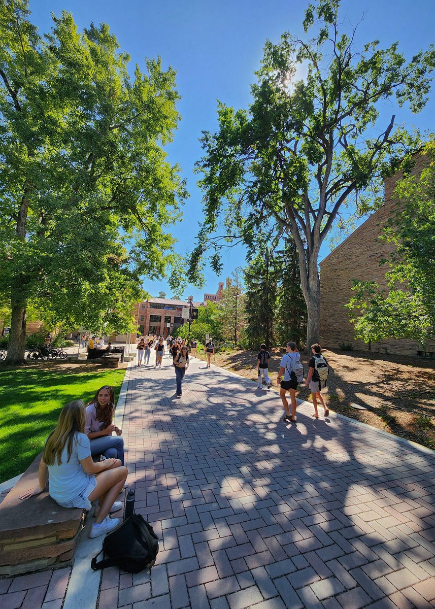 GradBuffs's tweet photo. Welcome back to campus! We're so excited to start the academic year. 💫 https://t.co/6bITmZLyZQ