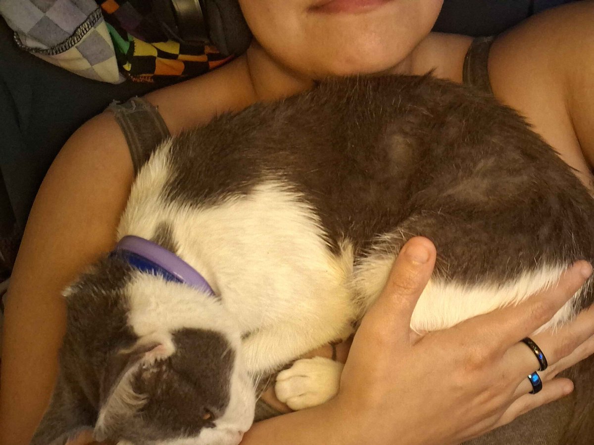 TheBlueIncubus's tweet photo. Been a minute, so guess I'll post some pussy 💙 ft @NinetailsLewds desk and torso https://t.co/SsmRfFEgrG