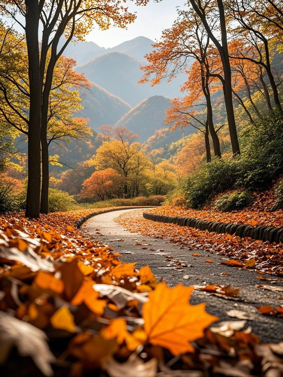 _chiharu616_'s tweet photo. Autumn breeze brings crisp air and falling leaves  Perfect for a weekend walk!， https://t.co/1q6rpWaV0h