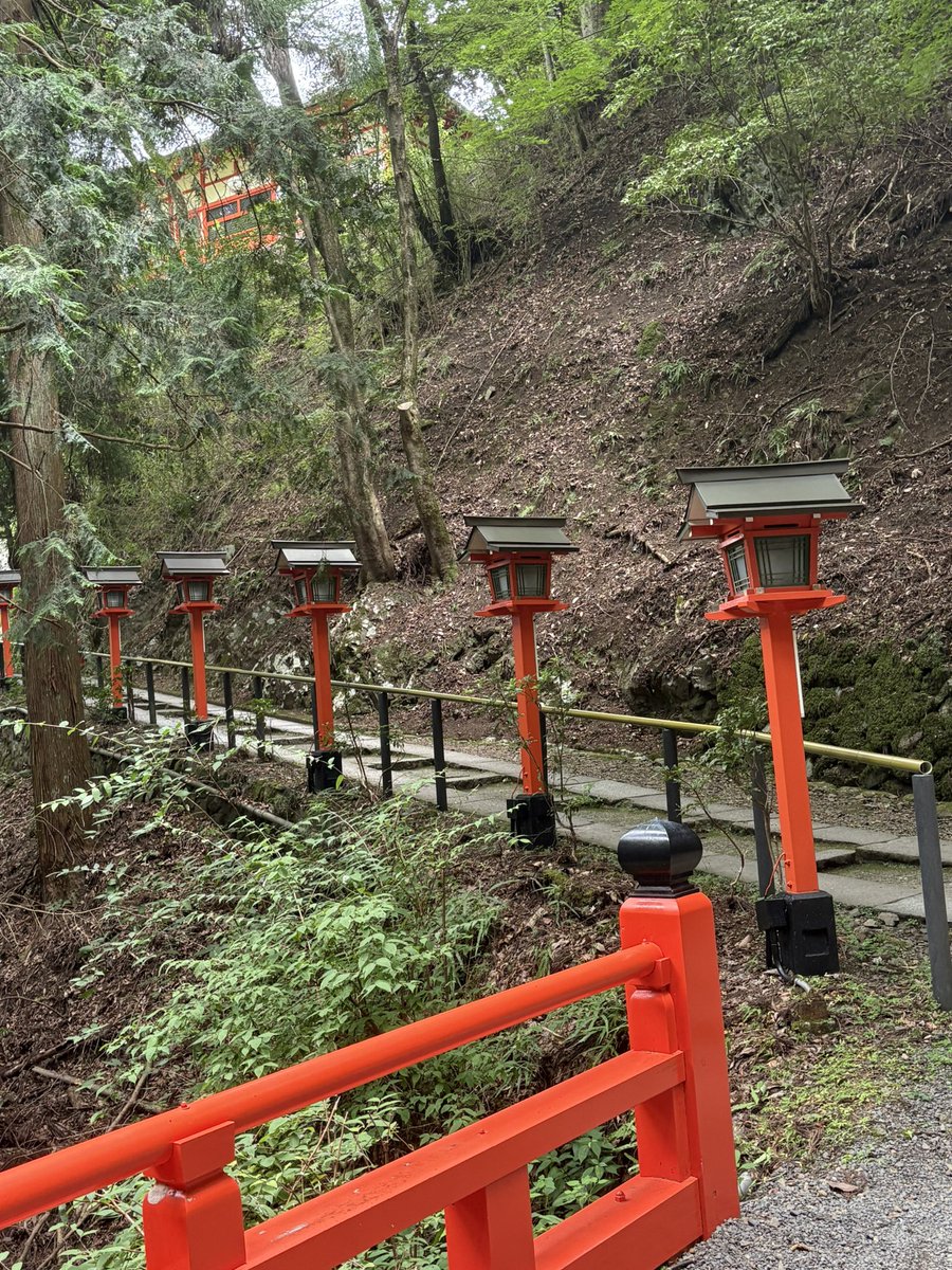 ringring0417's tweet photo. 鞍馬寺へ

源義経が幼少期に修行した山

時間がおして登山の予定はケーブルカーに🚃

「あうんの虎」に迎えられる🐅 https://t.co/y33HFe0vCS