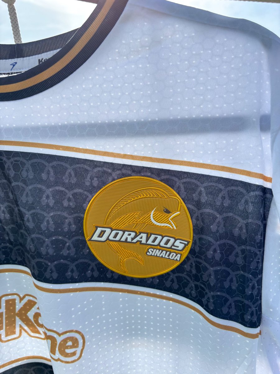 Dorados's tweet photo. 💛 Con la que se juega hoy 🖤

@Keukamx https://t.co/CqT346Ri0n