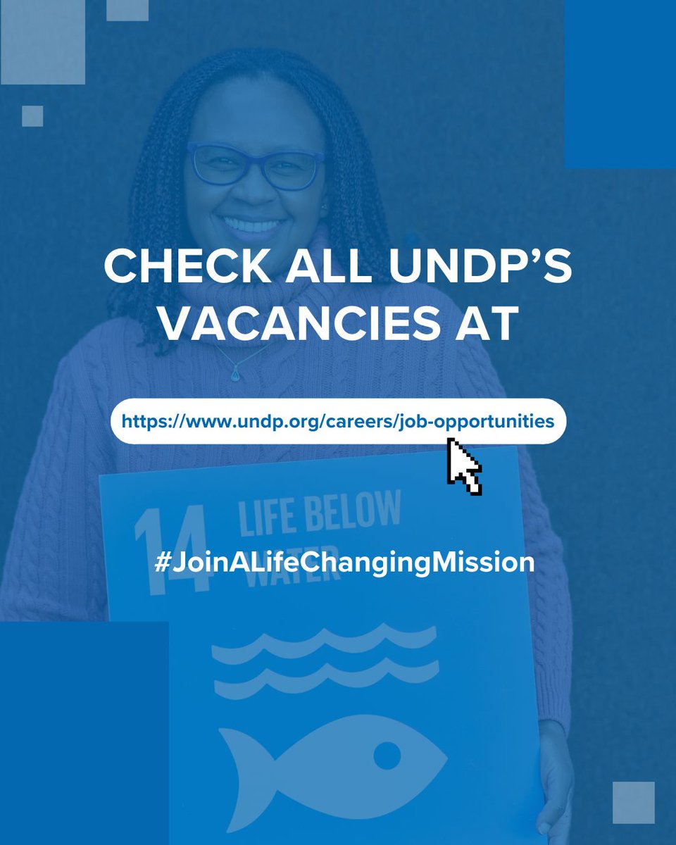 UNDPCareers's tweet photo. 📢 Are you passionate about contributing to shaping organisational direction, managing resources and people?

✅️19 positions are now open at UNDP in the field of Strategy, Management, and Operations.

💼 Explore this week’s vacancies: https://t.co/rBlMfKJhbo

#UNDPCareers https://t.co/qUVURMZD9m