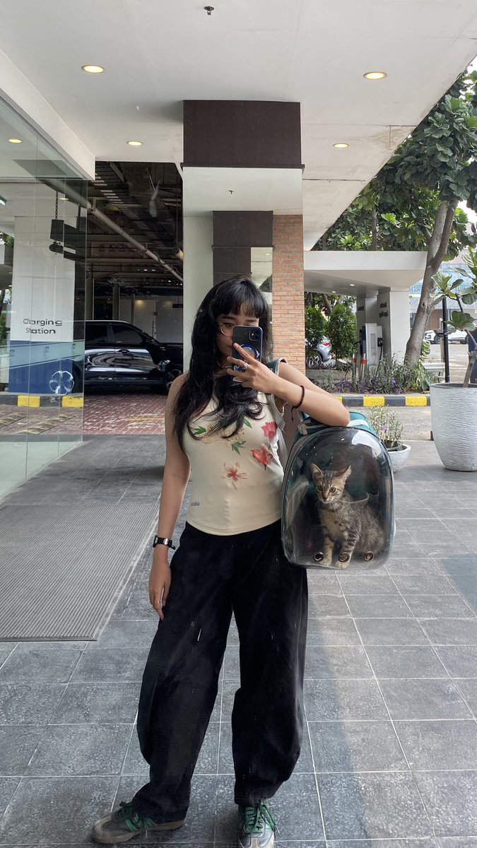 facesrearranged's tweet photo. kucink anyinkkkk travel gw 150k travel dia 350k loh anyinkkkk mana mbaknya blg “kucing ky gini mah dikos saya banyak” anjingggggg https://t.co/EtTDRjcOmw