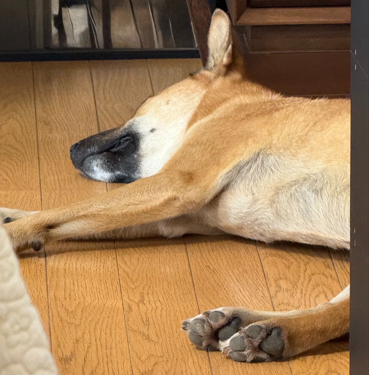 pahu's tweet photo. @tora_piyo10 @Neco3po @rucchanmama @jyubirin @onpu06 @demi_aicyan @nana5539 @youneeeri @you5_8 おはよー☁️☔️ https://t.co/b2UBUM3oht