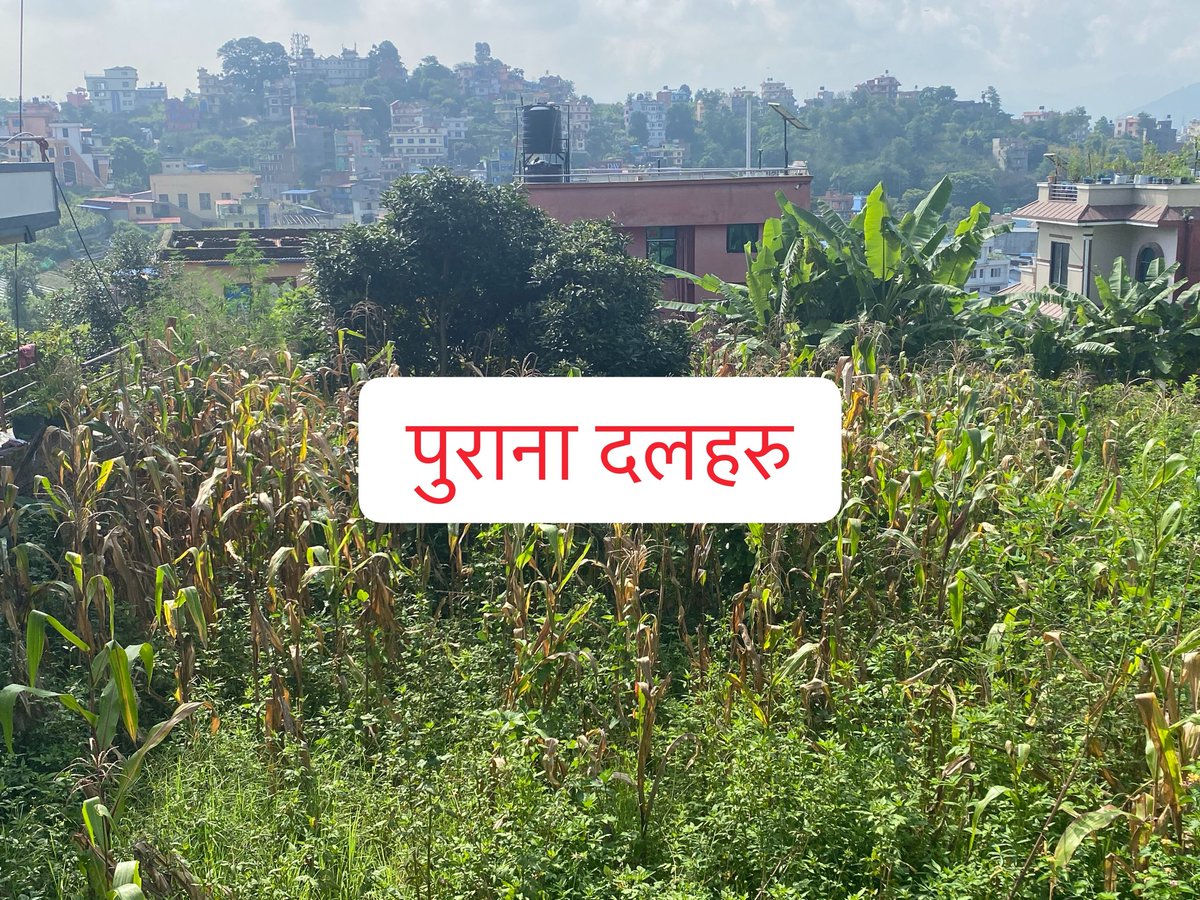 arjun88382926's tweet photo. नेपालको वर्तमान राजनीतिक अवस्था https://t.co/tLLmLhXVI1