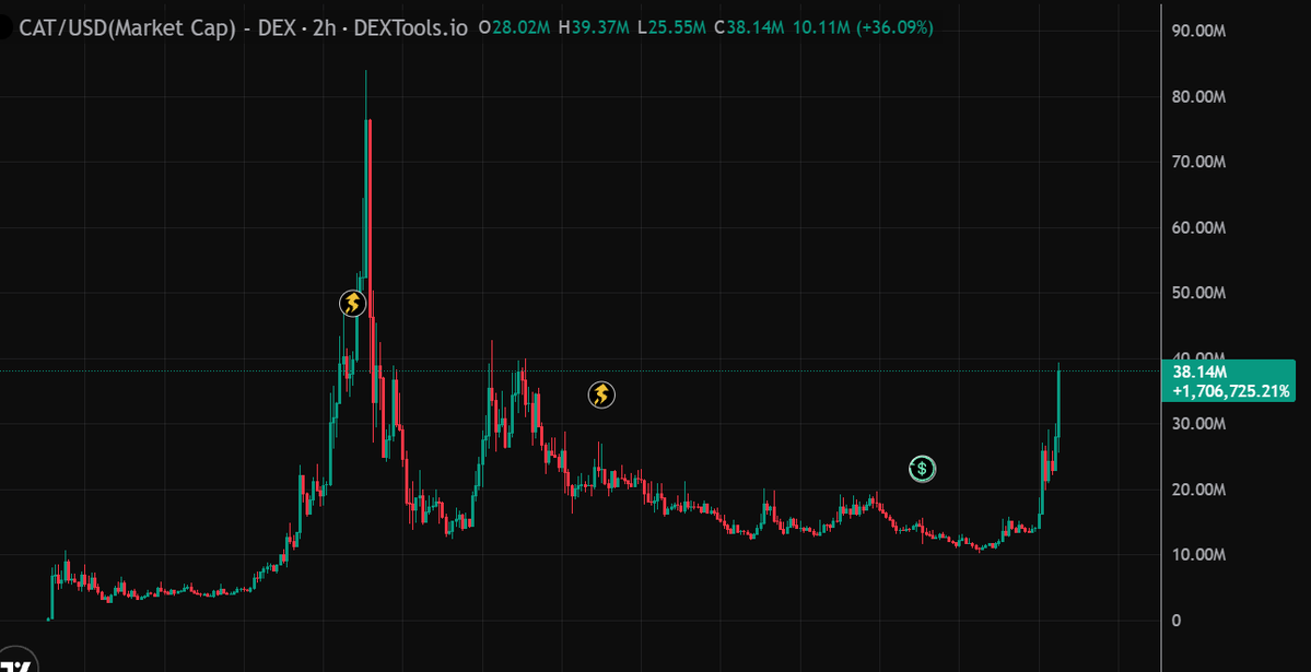 MoEthWhale's tweet photo. The most hated memecoin rally since dog(e) has officially begun, cat(e) to billions.

@PoorGoat_ says $CATE is flipping $DOGE, do you agree? 🐈 https://t.co/KDtL1PYTXQ