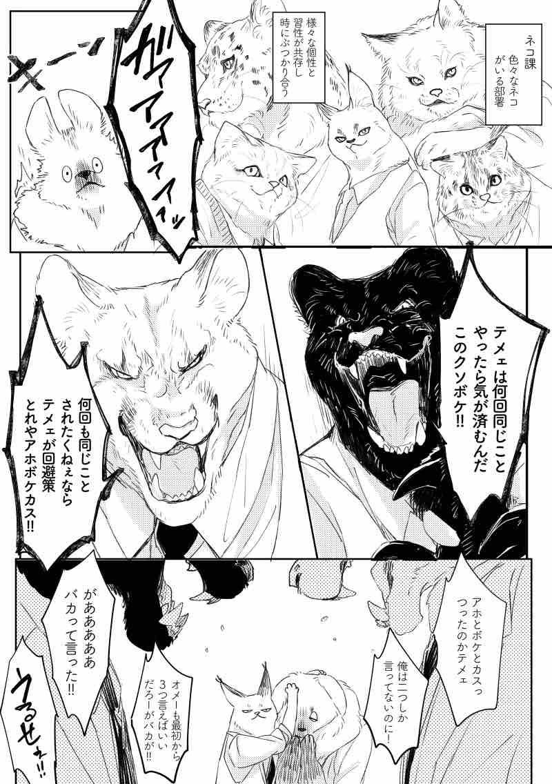 0120_oss's tweet photo. 🐱の部署はちょっと荒い https://t.co/YlfhVGe2tX