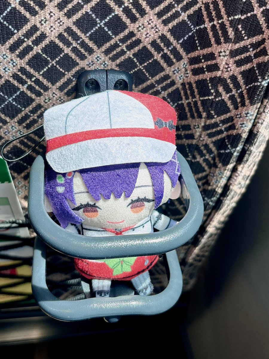su_mikan_'s tweet photo. ずな、実家に帰るよ🚌💨 https://t.co/WDG3GHhHn2