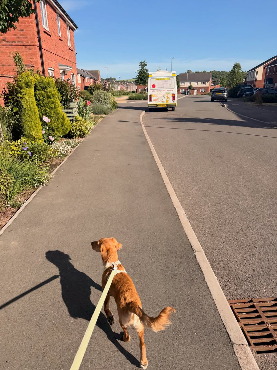 mabelthesmoothc's tweet photo. I am camping for the first time🏕️ 

I thought I’d be able to run free… but apparently not!

#happycamper🚐❤️ #puppylife #pupstagram https://t.co/M9bODMzJdZ