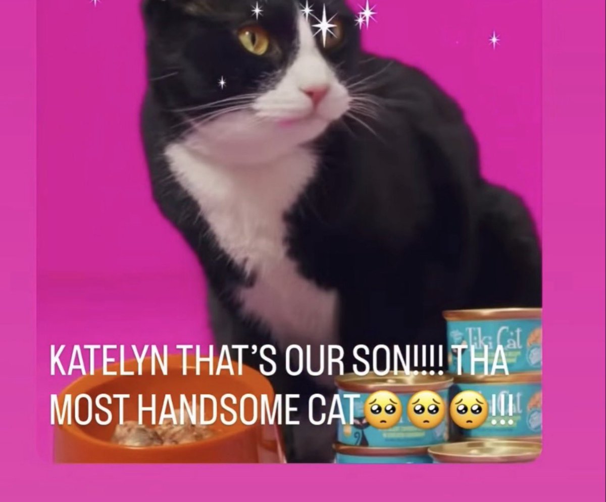 thehudprint's tweet photo. hudson being an avid emoji user is the best thing that's happened to me https://t.co/CVjW1RfV1Y