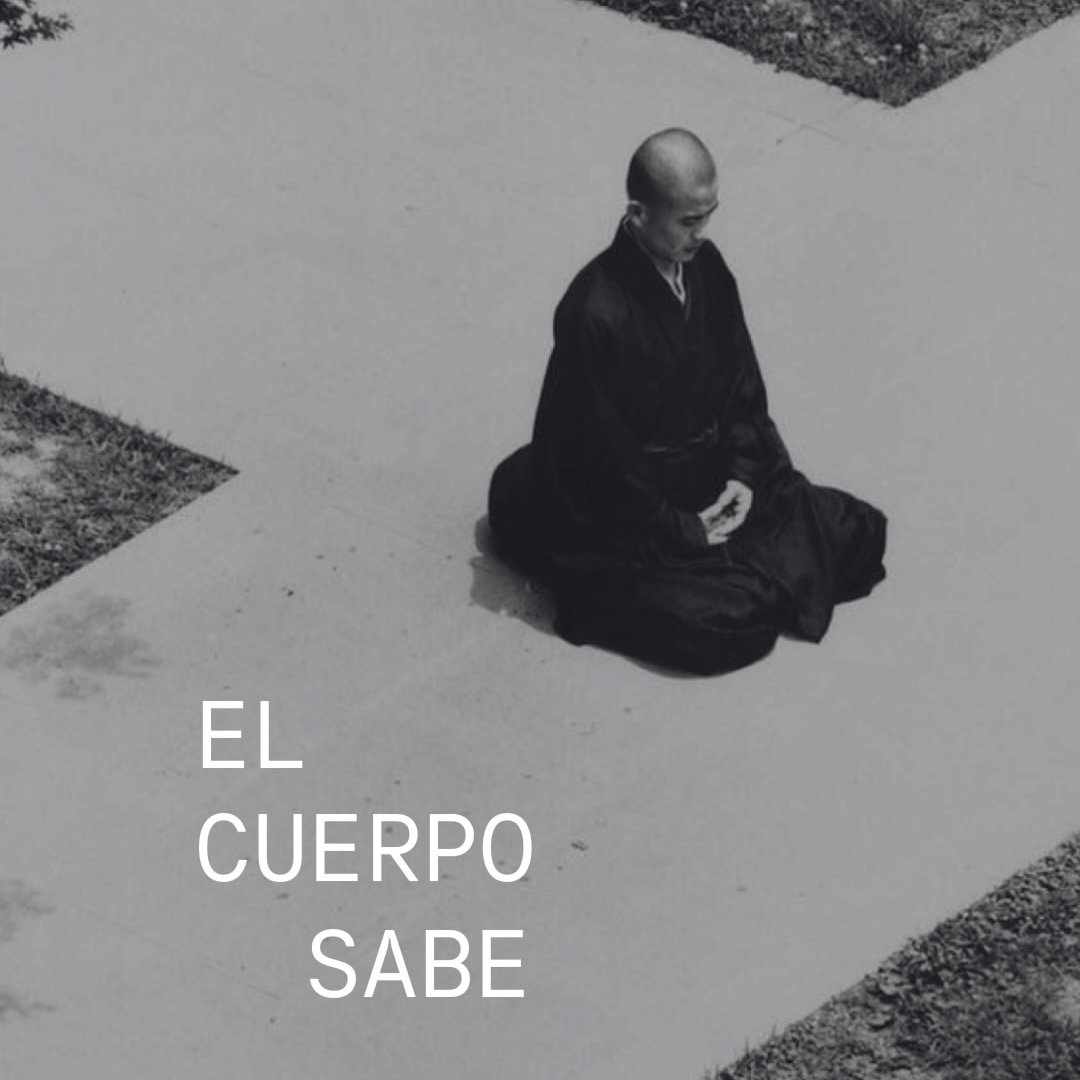 josedavidmillan's tweet photo. EL CUERPO SABE.

- Hilo - https://t.co/BcjxhzXZo9