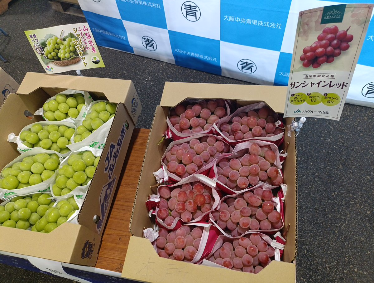 shijyoosaka's tweet photo. 本場です。本日、大阪中央青果㈱の卸売場で、『JAふえふき産ぶどう販売セレモニー』が行われ、ぶどう生産量日本一の山梨県のシャインマスカットやサンシャインレッド、山梨県オリジナルの黒ぶどうの「甲斐キング」がPRされました。
また、市場関係者にシャインマスカットが配布されました。 https://t.co/fktNTGSb7D