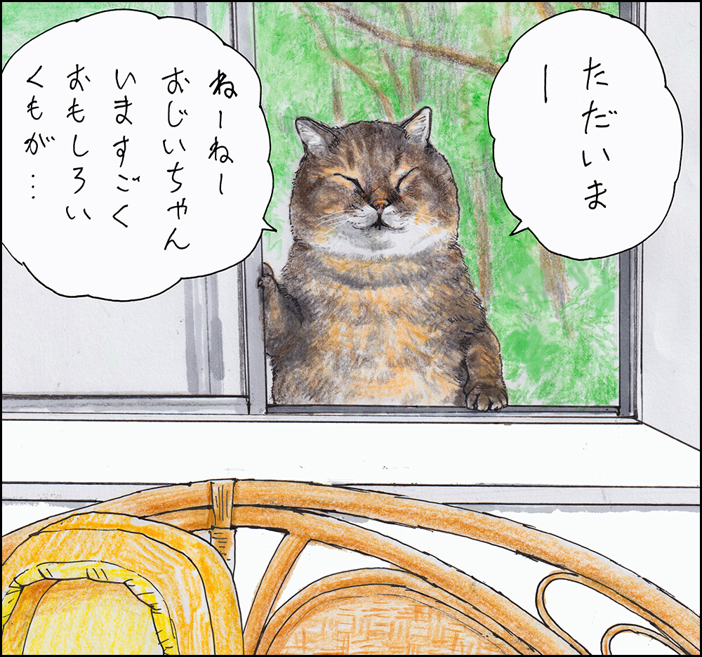 tsushimacat's tweet photo. https://t.co/pEZYgTvIDw