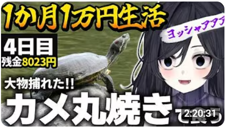 DaiDesign's tweet photo. VTuberのニュース

女性VTuberの一か月1万円生活が
ぶっ壊れ過ぎていて、ヤバイ件
・家畜のえさ用の米（虫や石などが入っている）
・セミをとって食べる
・100円の竿で釣り決行
・カメを焼いて食う
なおインドネシアで路上生活経験ありの、サバイバル人生すぎる日本人女子
なぜVTuberに？・・・🤤 https://t.co/p1vRJdl8pp