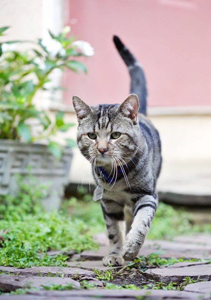 kittyuniveprwj's tweet photo. https://t.co/4yS63Hp0bx