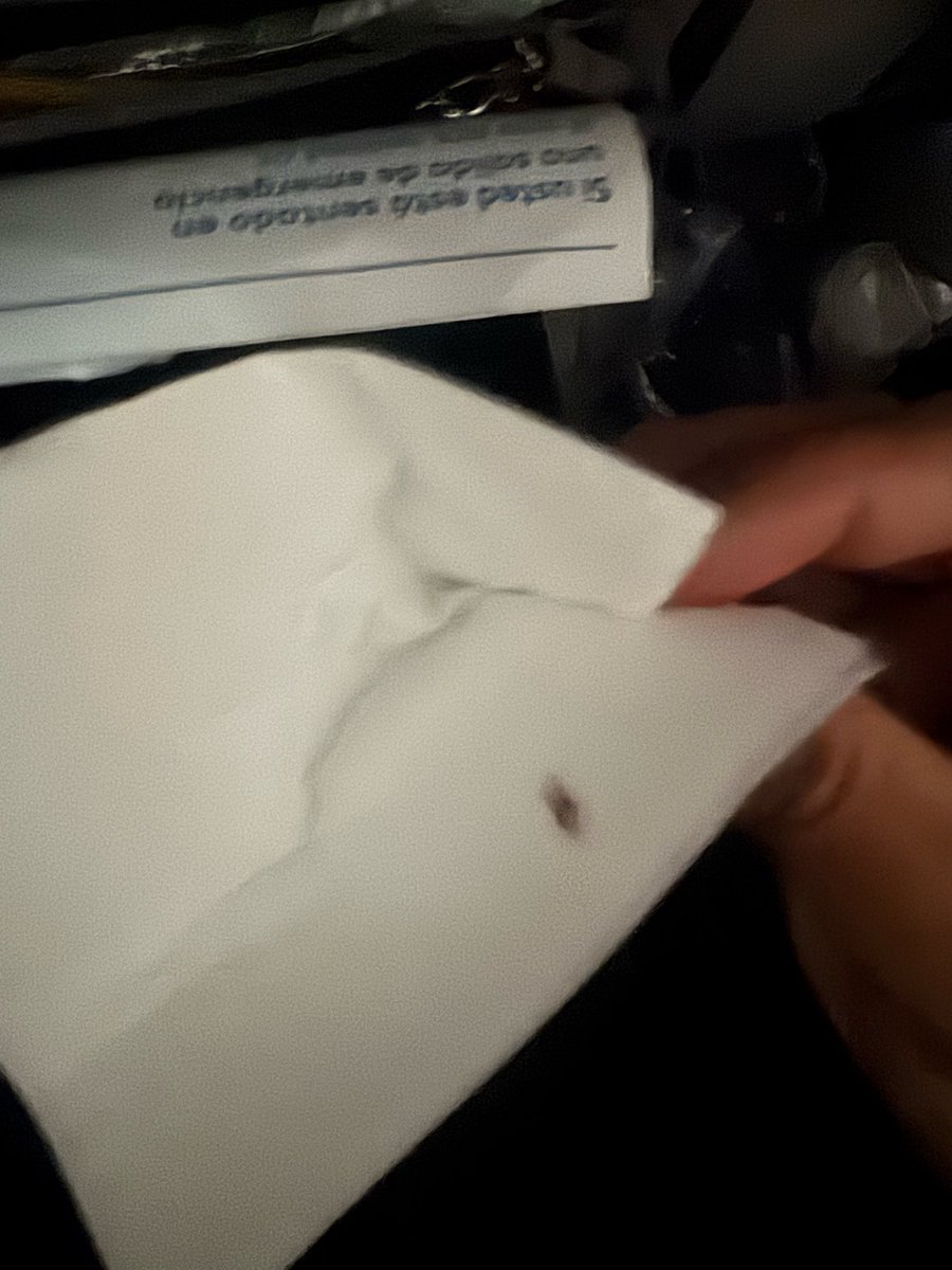 Vanedibenedetto's tweet photo. @AirEuropa desde abril estoy esperando que me contacten por lo sucedido en el vuelo MAD-CCS el avion estaba lleno de de pulgas/garrapatas fue excesivo las picadas que tuvimos en especial mis hijos! Son una vergüenza no miden la insalubridad @transportesgob @aena @globalia https://t.co/DmT2RCgAgA