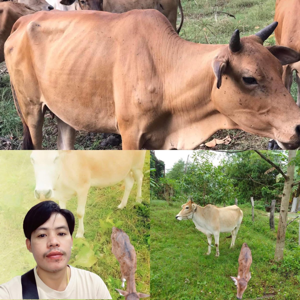 SukhimC's tweet photo. ✅ วันว่างๆ ก็มาดูทีรักหน���อย #ขอนแก่น https://t.co/kgvNc10tGr