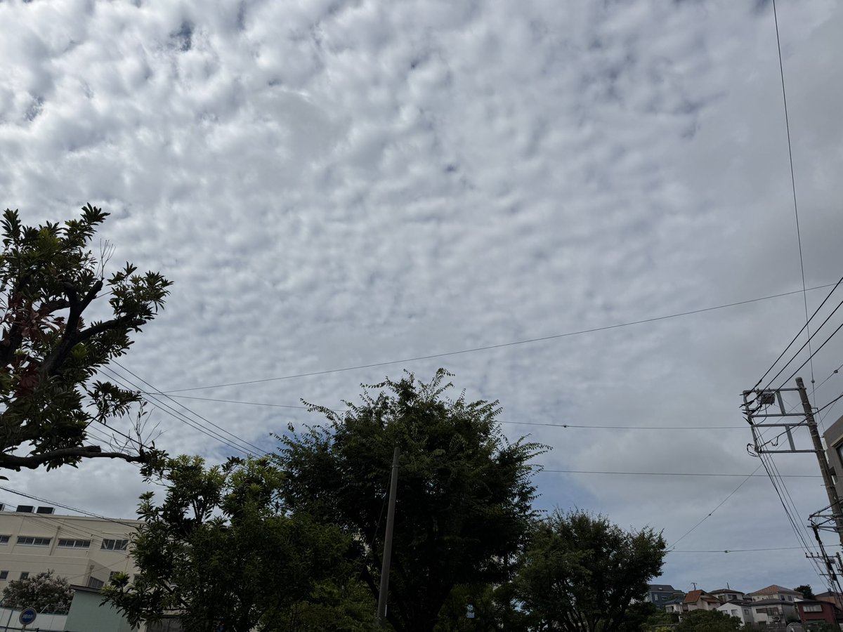 GEMANN89's tweet photo. #イマソラ　なんか涼しい💦　太陽☀️頼む🙏 https://t.co/fVDEBxsxkU