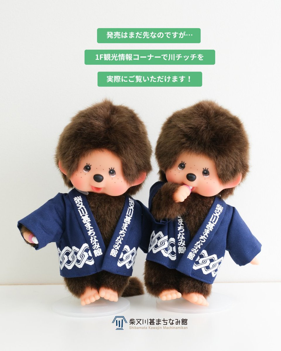 machinamikan's tweet photo. ＼本日も開館しています／

本日も9時から開館です。

発売予定のオリジナルモンチッチ「川チッチ」も、館内でひと足先にご覧いただけます！
※現在展示のみ

そして、いよいよ明日8月22日（土）・23日（日）は
「柴又川甚まちなみ館 夏祭り2026」を開催！

ぜひ柴又川甚まちなみ館へお越しください。 https://t.co/7RxCXwrtp2