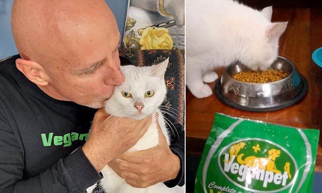 NoCatsNoLife_m's tweet photo. To prevent more idiots like this, food education and basic biology should be taught much more seriously around the world.

Cats are obligate carnivores with specific nutritional requirements. https://t.co/j9CdnBBEIc