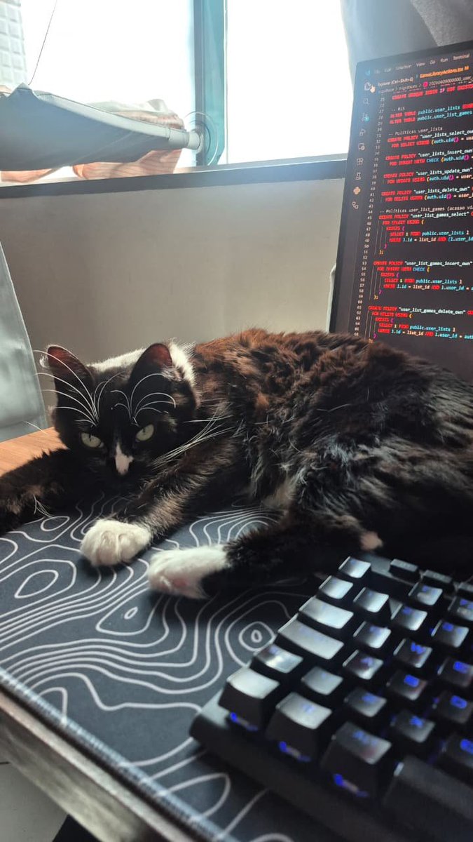 rafaecaires's tweet photo. @gugeldev mano, meu gato é MUITO parecido com o seu, me manda uma foto dele por favor https://t.co/OiCoiDkh4x