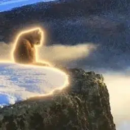 captain__crunch's tweet photo. This cub is going giga viral for being like the lion king

Looking over his kingdom. We always send these narras https://t.co/Xa3cVxCoKy