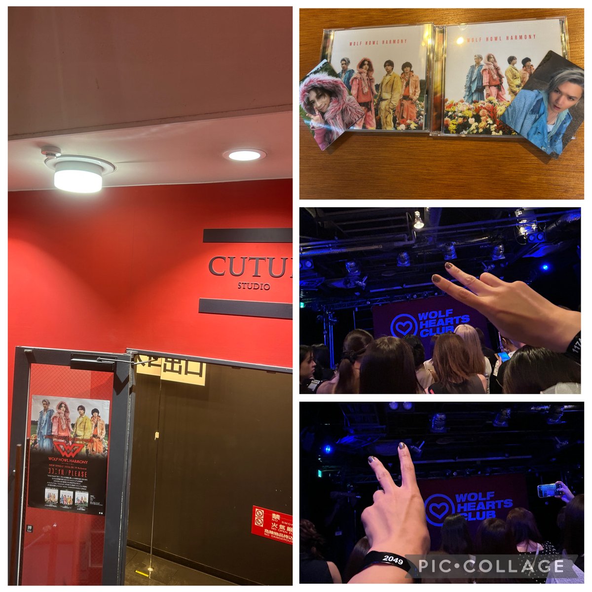 CHIE___1024's tweet photo. 今年はリリイベ封印してたんだけど。。。
8/9ライブが最高すぎて行きたくなって久しぶりのリリイベ行ってきた╰(*´︶`*)╯♡

 #WOLFHOWLHARMONY  #WHH_ココニイル  #WOLFHEARTSCLUB  #WHC https://t.co/33VN4vzlab