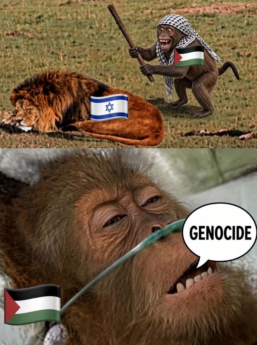 d709_d's tweet photo. @rogerlorton @Defensa_Israel https://t.co/pdCfoMSyep