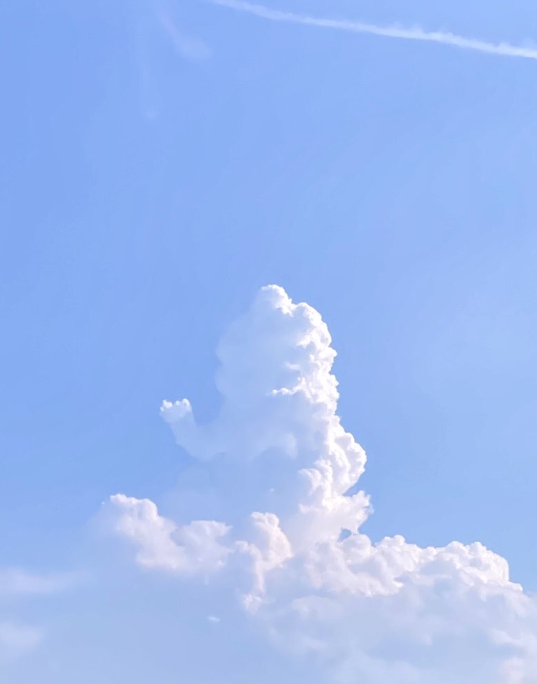 WANASHI_074GU's tweet photo. 入道雲が手を振ってた https://t.co/NdXewM96VM