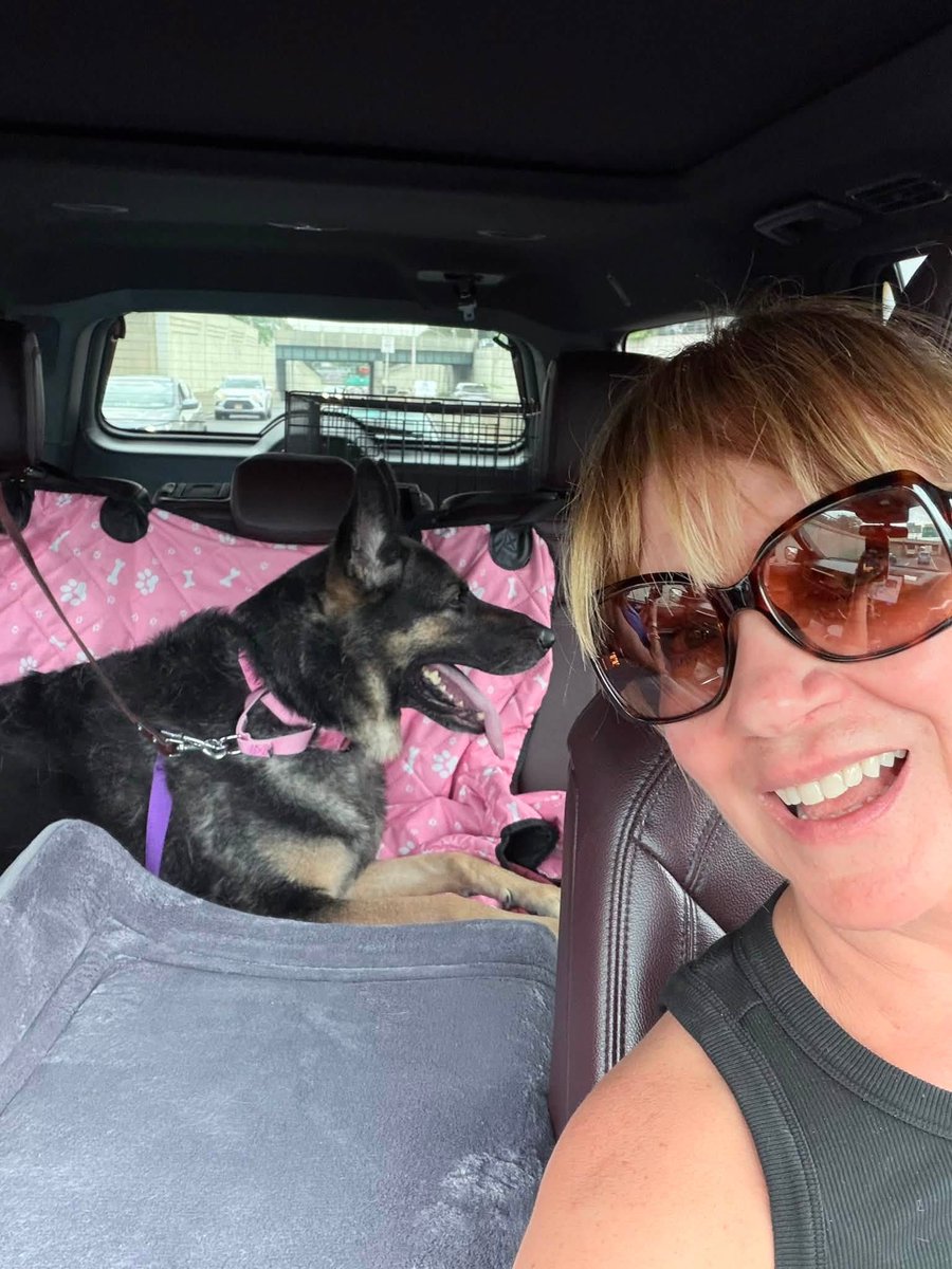 PoundHoundsResQ's tweet photo. Hi, thanks for pledging for Miracle 260336. We Pound Hounds pulled this dog. You can abide by your pledge here: https://t.co/CECAPp12Oh
@Stuartshanemama 25 
@SueGillmeister 50 
@Town5983 25
@AutonomousAllie 45
 @choward064 100
@gkfx777 5 https://t.co/sWyMtQ4vZT