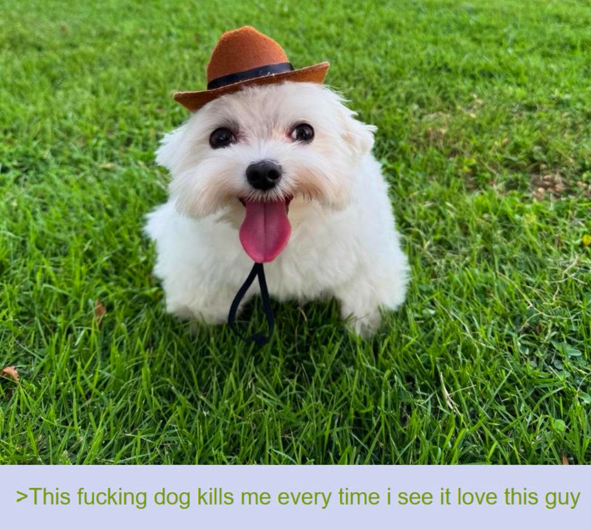 ShitpostRock's tweet photo. https://t.co/9lOAhcZa0K