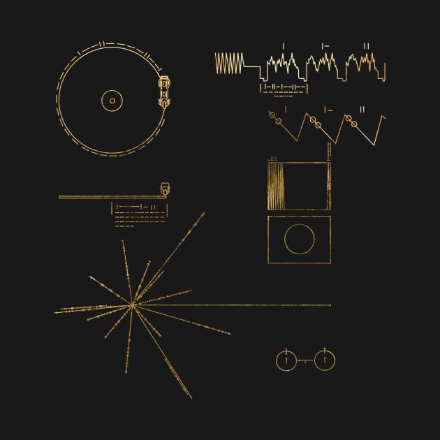astro_jaz's tweet photo. every day the urge to get a voyager golden record tattoo gets stronger… https://t.co/oEVXgCa1zu
