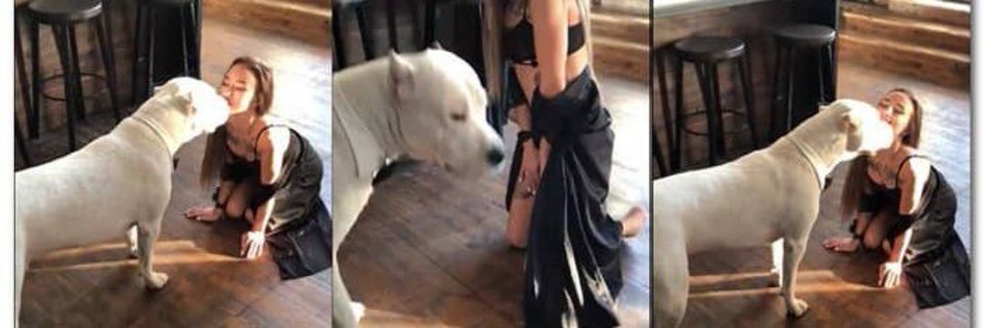 Ladysonya1n's tweet photo. I’m booked, busy, and cuddled up with my dog cock in my pussy:
DM for knotty stuff🥵👇

https://t.co/i6QhRNI4eB https://t.co/hK1WsSF7Cs