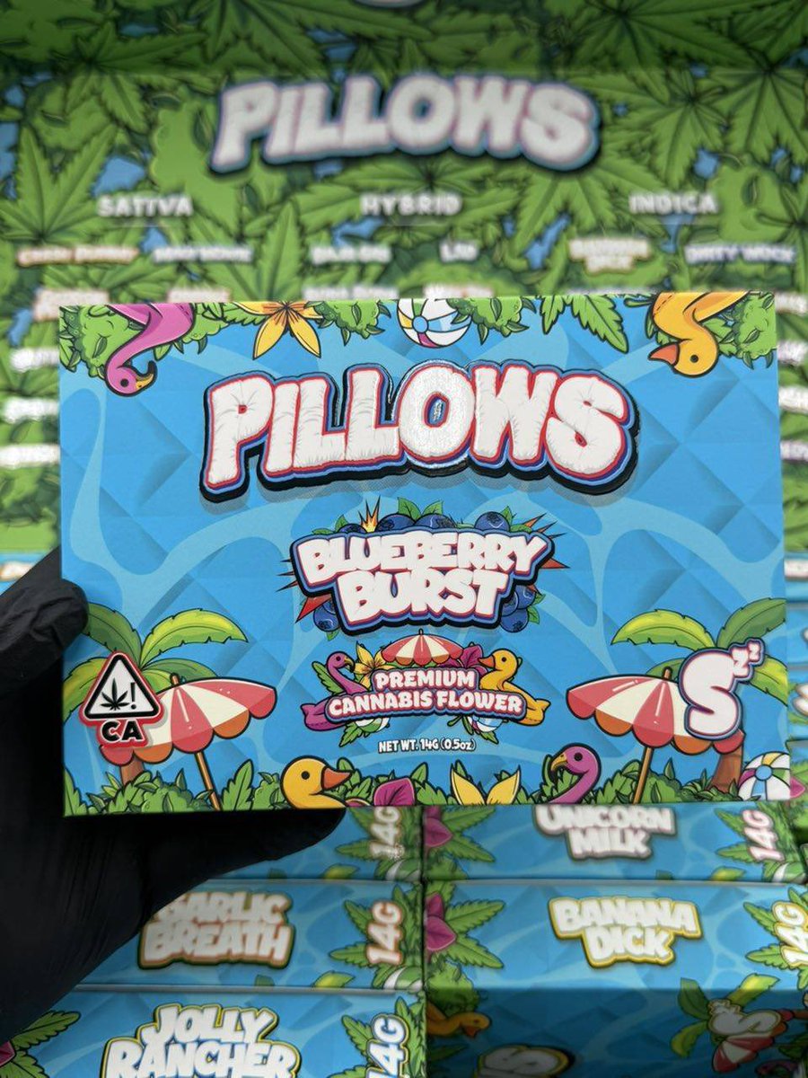 justme_iab's tweet photo. PILLOWS LIMITED EDITION 🍃🔥🔥
🔸Indoors 🌿🧪
QP — $500            
HP — $850            
LB — $1500            
Bulk — tapin 🔗↙️
📲https://t.co/s7cqXKsPxe

PREMIUM CANNABIS⛽️
Indica 🍃 sativa🍃 hybrid🍃 CBD 🍃 Blue Dream🍃 Northern Lights 
Sour Diesel🍃 OG Kush⛽️ 
#floridaplug https://t.co/Asm7rH8VZT