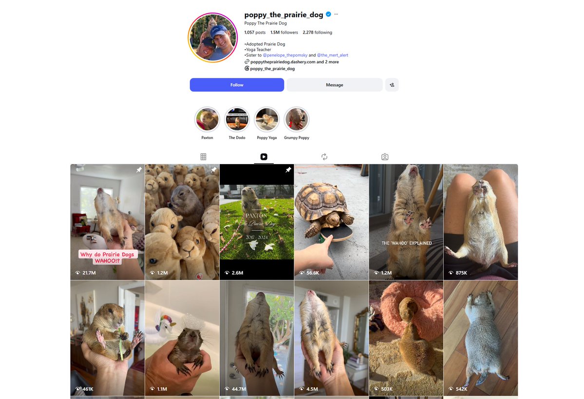 ghostdevv_'s tweet photo. THIS MIGHT BE THE MOST VIRAL ANIMAL MEME ON THE INTERNET RIGHT NOW

Poppy the Prairie Dog is already one of the biggest animal accounts online, but this video is on a completely different level.

This one clip alone is already at 4M likes and 44M views in 4 days, and her other videos are also pulling millions and millions of views.

The caption says it all:

“Poppy starts her day the only way she knows how… with a BIG WAHOO”

https://t.co/FrK5MWn6vi

The meme is instantly obvious.

Tiny prairie dog.
Instantly recognizable face.
Massive viral traction.
One perfect catchphrase.

The name writes itself:

Poppy the Prairie Dog

$POPPY — Poppy the Prairie Dog