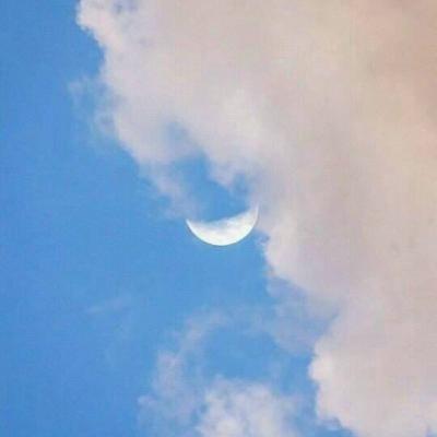 Isabell1898's tweet photo. 🌞 🌹 🔥 Pressed sake from rices, sakes sparkling sips in cedar casks' cool kiss. https://t.co/1nGpY4O8g1