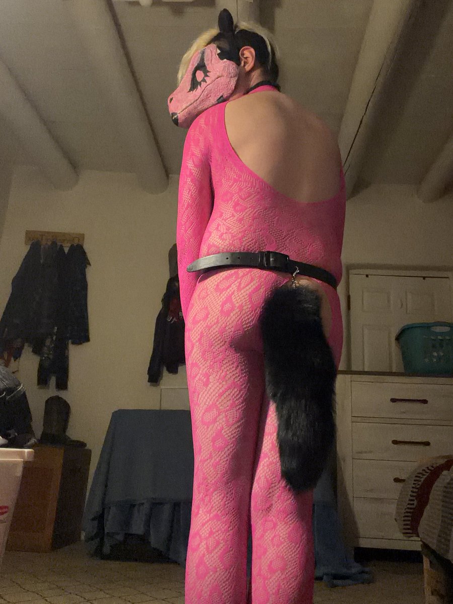 grimthefemboy's tweet photo. I’m such a good boy 😻😈😏 #femboy #furry #nsfw #Chasity #caged #goodboy #switch #submissive #breadable #ass #bussy #gay #horny https://t.co/OJowMk3bYn