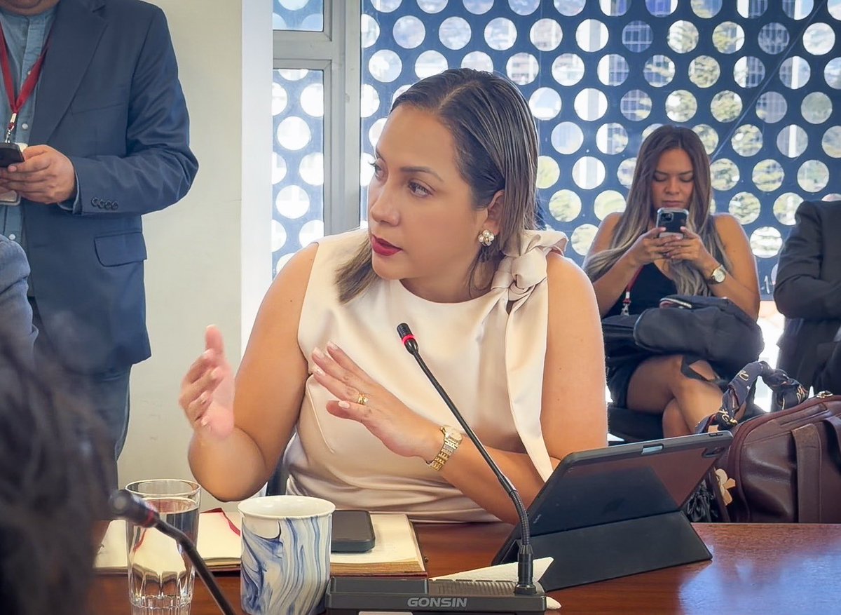 anaraffo1's tweet photo. En la @EducacionAN recibimos a las autoridades del @Caces_Ec en el marco del primer debate de reformas a la #LOES. 

No podemos permitir retrocesos ni decisiones apresuradas que comprometan el futuro de nuestros jóvenes y la excelencia académica del país. 🏛️⚠️

¡#ContigoConTODOS! https://t.co/6Uwbkve24j