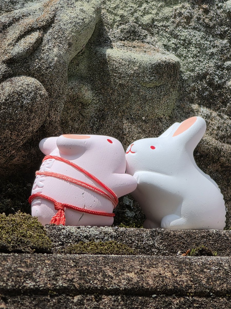 voo_ii29's tweet photo. 운끼신사 🐇
근데 기념품샵주인?분이 운아기를 알아보심.... https://t.co/FkFHWph1VT