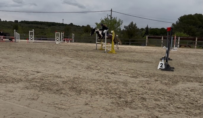 l_eqt_'s tweet photo. Retour sur ce stage de derby cross de dimanche avec New. Une super jument à l’écoute. J’ai eu du mal à trouver ma place donc certains sauts son catastrophique mais on fini pas une bonne note avec un gros tronc qu’on passe niquel malgré ce petit pied.… https://t.co/SgNUi7qF2H