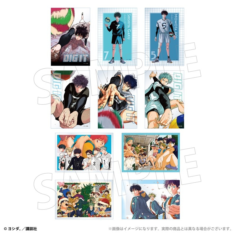 DigIt_goods's tweet photo. アニメイトオンラインで予約開始！

『ディグイット』 トレーディングクリアカード（全10種）

2026年11月 上旬 発売予定

https://t.co/oQhI4hNZqs https://t.co/Xg0lUSYoLI