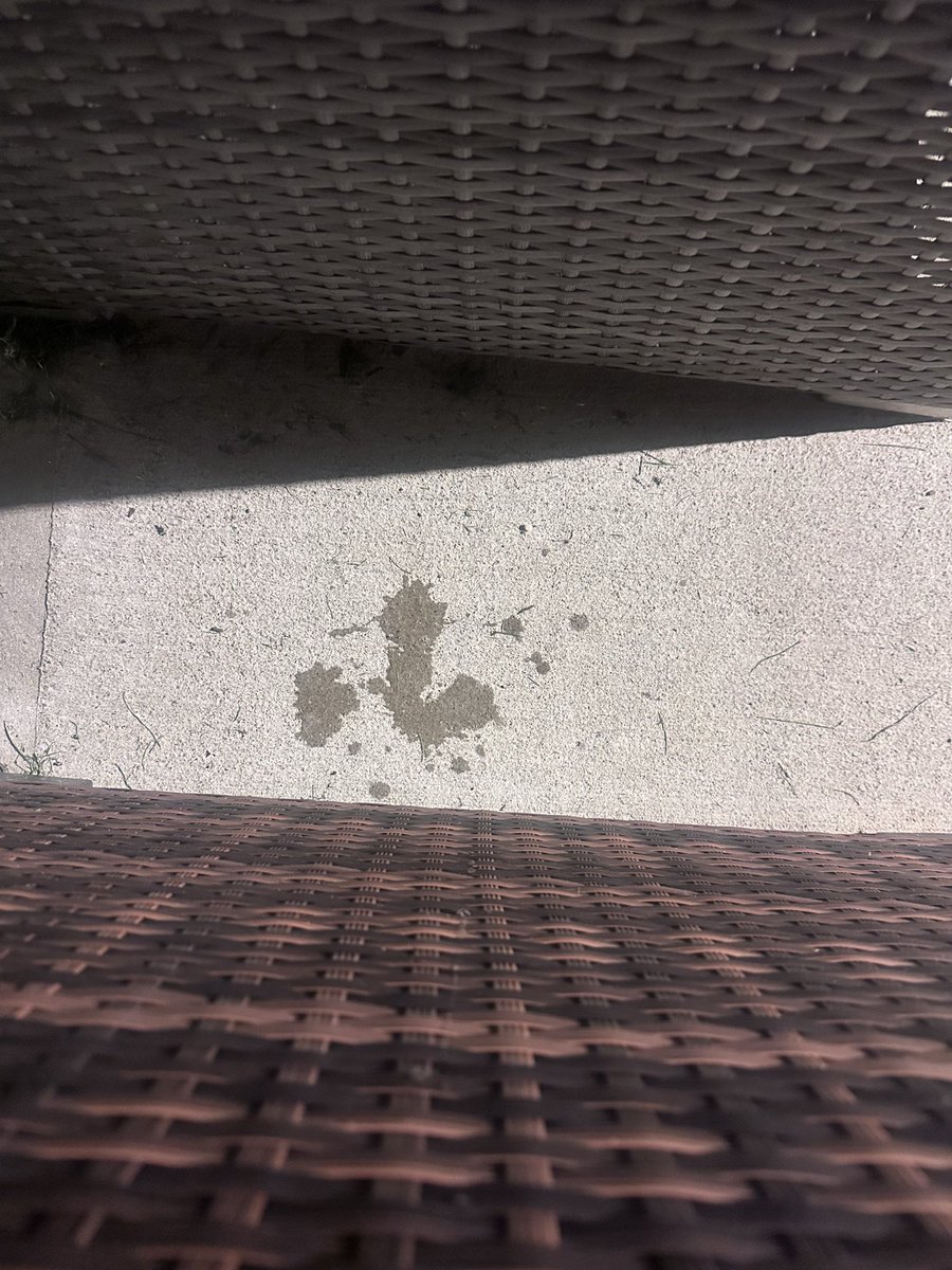 username_unicor's tweet photo. my spit made a dick https://t.co/8qgMsufA6y