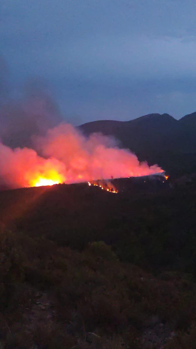 SegorbeParti's tweet photo. 🌲🔥 Todo nuestro apoyo a quiénes están luchando contra el #IFSegorbe

Gracias a bomberos, brigadas forestales, agentes medioambientales y todos los profesionales que están protegiendo nuestros montes y nuestros pueblos.

Mucho ánimo y fuerza.

#SegorbeParticipa #Segorbe #Gátova https://t.co/sx82EUOG1n