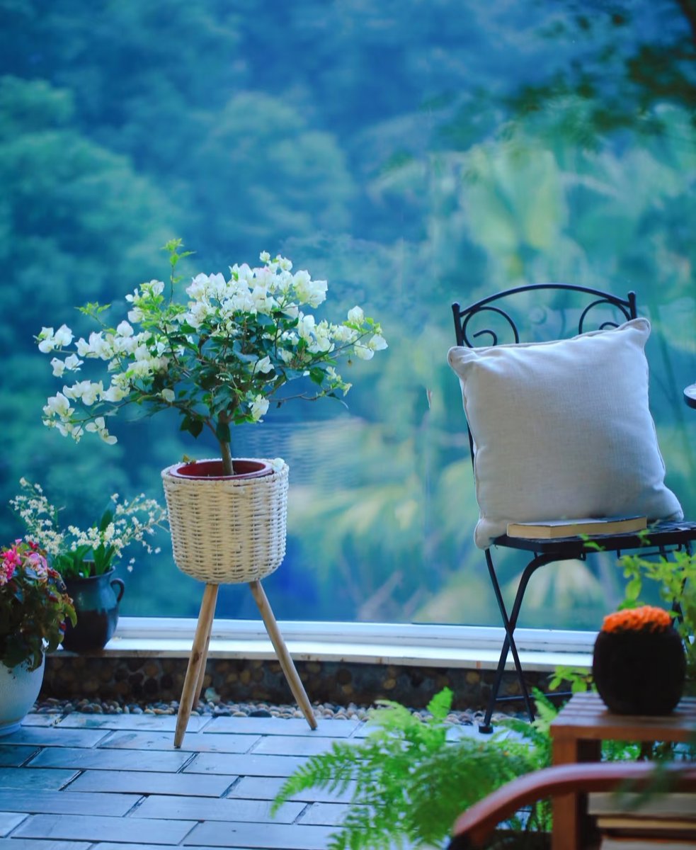 GalvezAlain's tweet photo. Just swapped my clunky 9-to-5 office desk for a cozy balcony nook with my plant babies u0026 morning tea—small switch, huge mood lift , https://t.co/AGA1H2AfB2