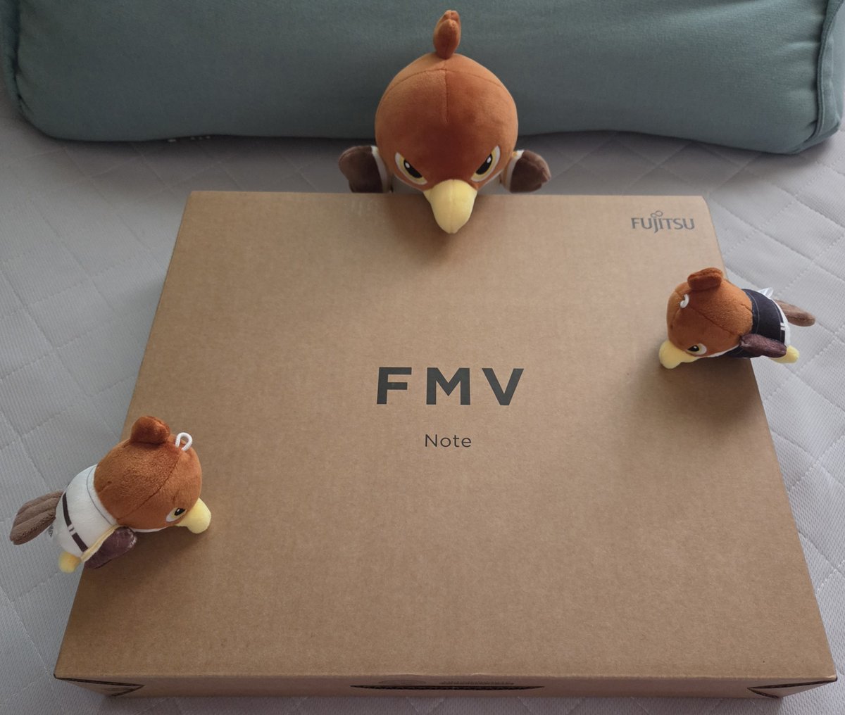 gmovlf's tweet photo. 「何これ？」
「ノートパソコン…」
「新品だホー！」
「履歴書作ろうと思ったらね…
元の古いパソコンの挙動が怪しくて…
"んぁあ！行け！"の精神で買ったよ…
嗚呼、財布が…」
「これからまた稼げばいいビー！」
「…それもそうだね！」 https://t.co/eWhdcYuSoy